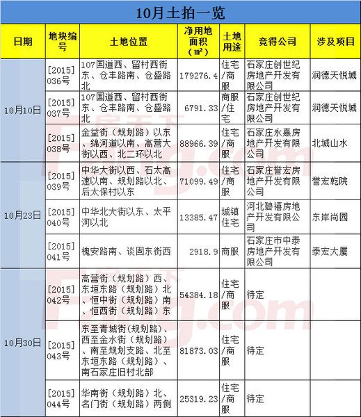 10土拍一览